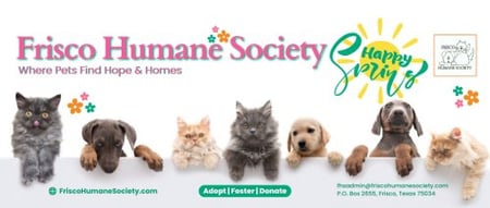 Frisco Humane Society Cat Adoption Event