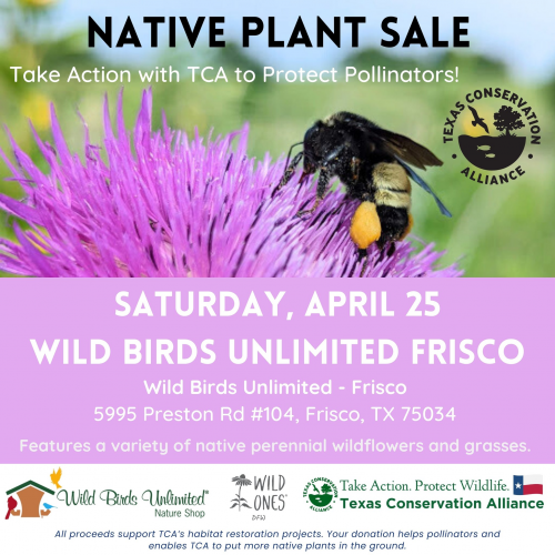 Spring Native Plant Sale at Wild Birds Unlimited Frisco