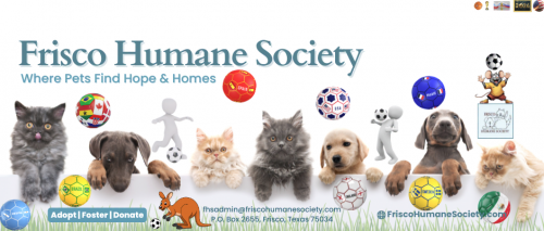 Frisco Humane Society Cat Adoption Event