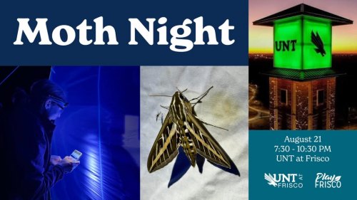 Moth Night: UNT at Frisco