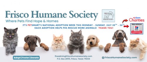 Frisco Humane Society Cat Adoption Event