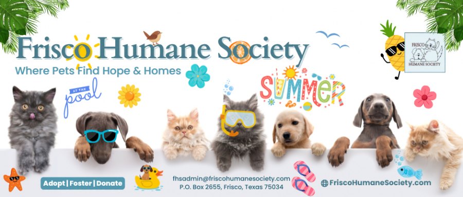 Frisco Humane Society Cat Adoption Event