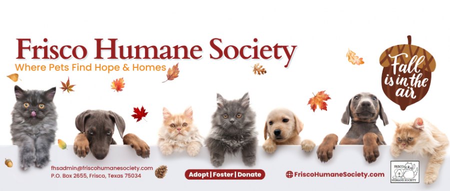 Frisco Humane Society Cat Adoption Event