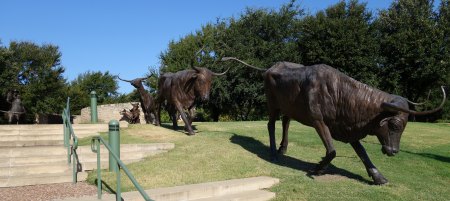 Central Park Sculpture